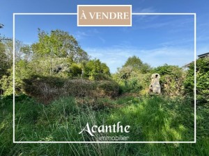 Voir la fiche détaillée